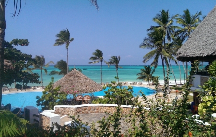karafuu cartolina -