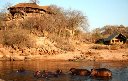RRL RUAHA RIVER LODGEnew dining with hippos -
