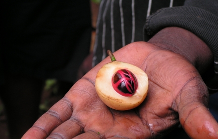 Zanzibarviaggi Tour delle Spezie 2 -