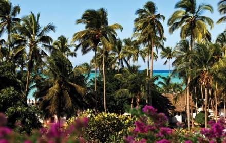 mapenzi zanzibarviaggi 7 -